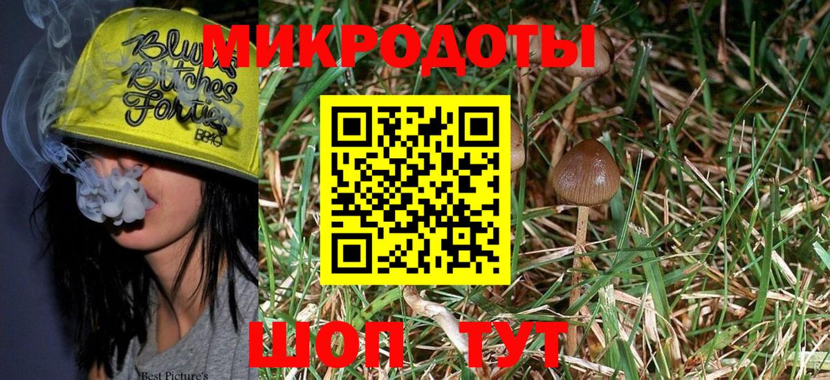 Псилоцибиновые грибы MAGIC MUSHROOMS  Вход с VPN  Ярцево 